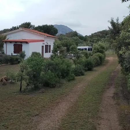 Holiday home Il Lentisco House